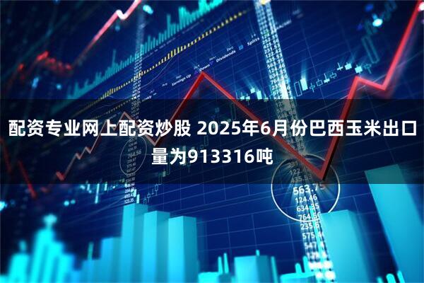 配资专业网上配资炒股 2025年6月份巴西玉米出口量为913316吨