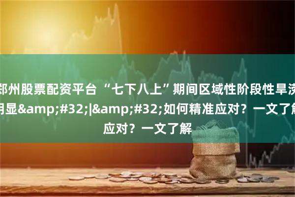 郑州股票配资平台 “七下八上”期间区域性阶段性旱涝明显&#32;|&#32;如何精准应对？一文了解