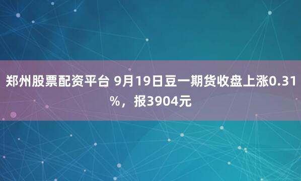 郑州股票配资平台 9月19日豆一期货收盘上涨0.31%，报3904元